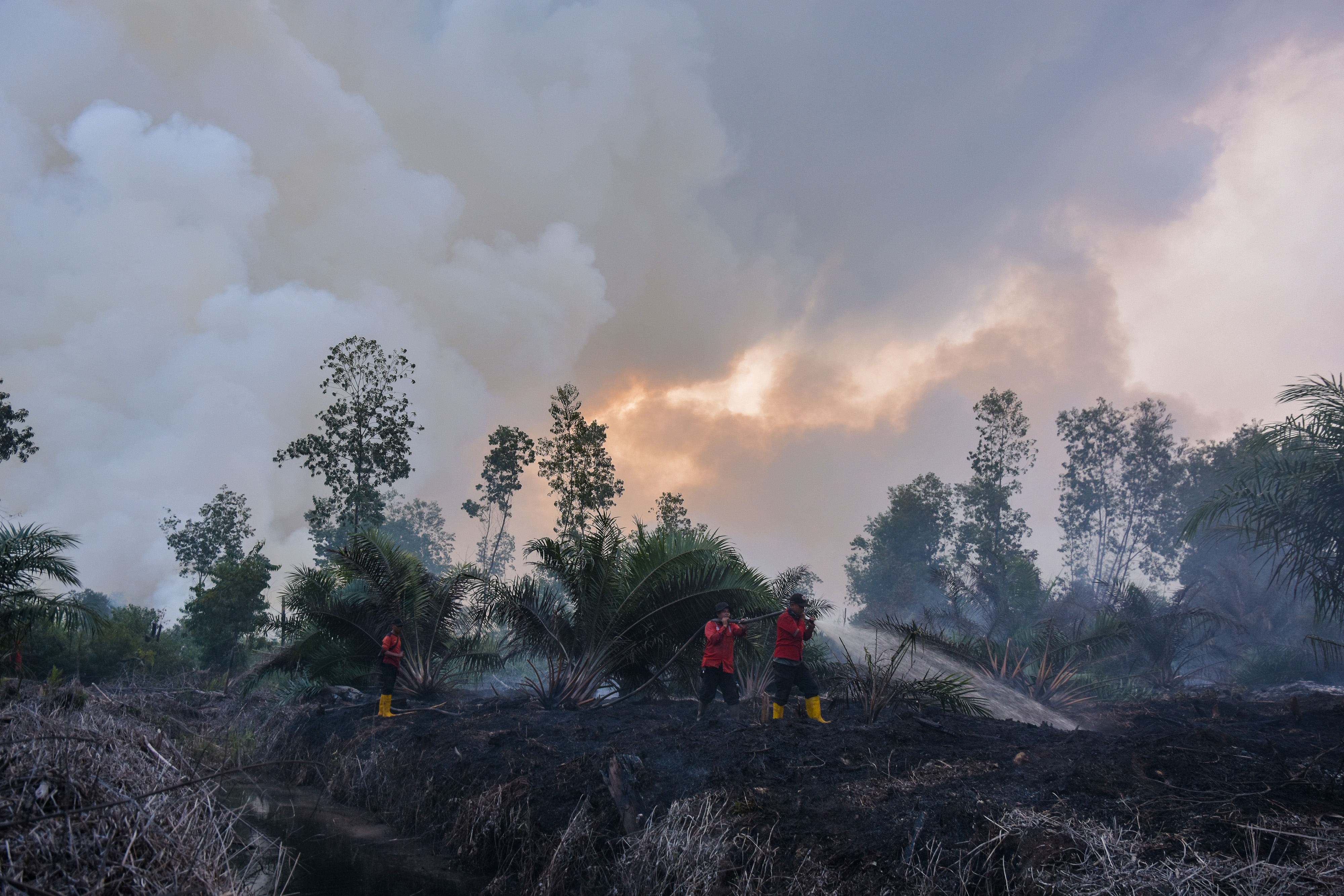 BERJIBAKU PADAMKAN KARHUTLA RIAU