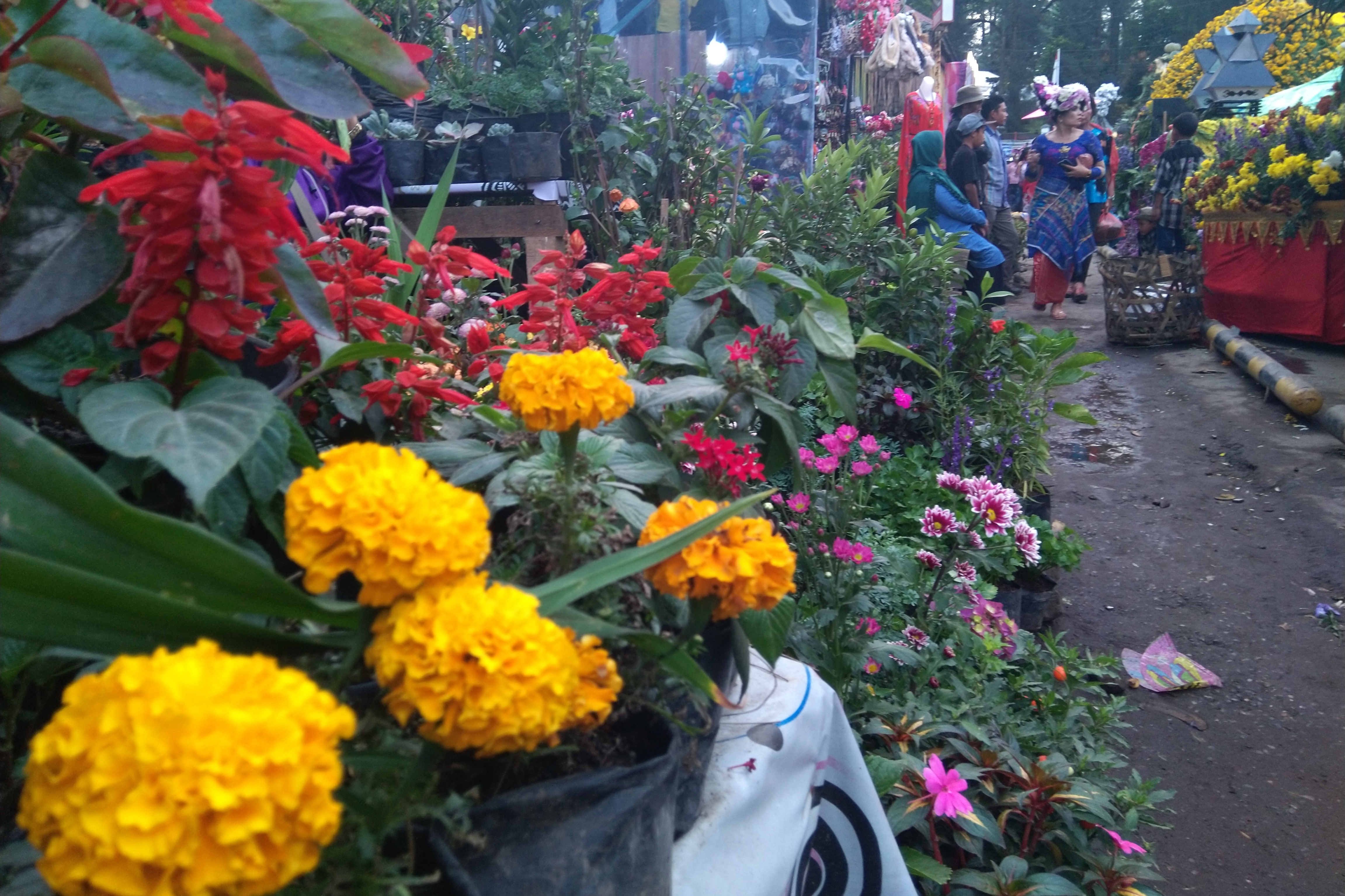 Festival Bunga dan Buah 2019 di Berastagi, Sumatra Utara