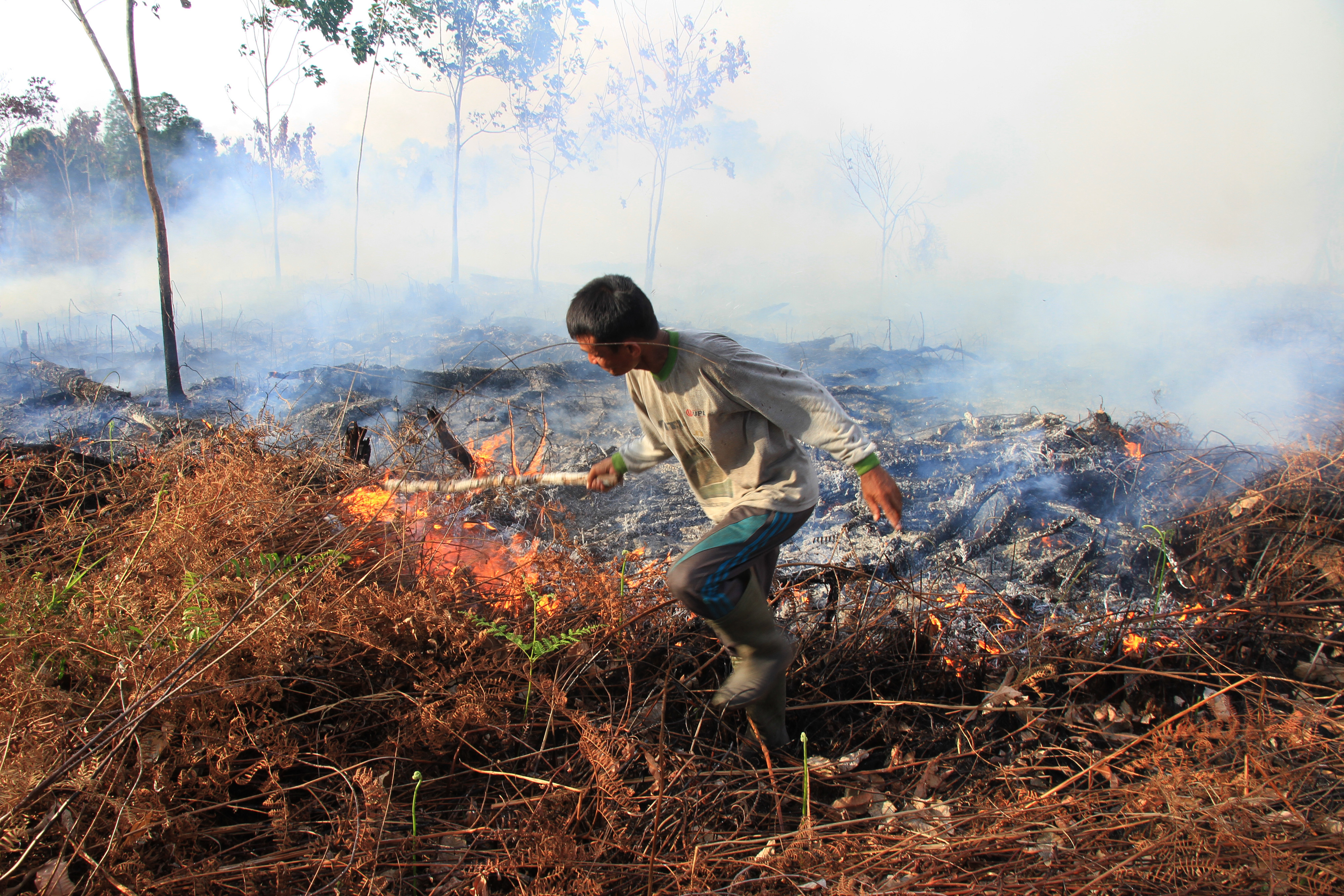 kebakaran Hutan dan Lahan di Aceh