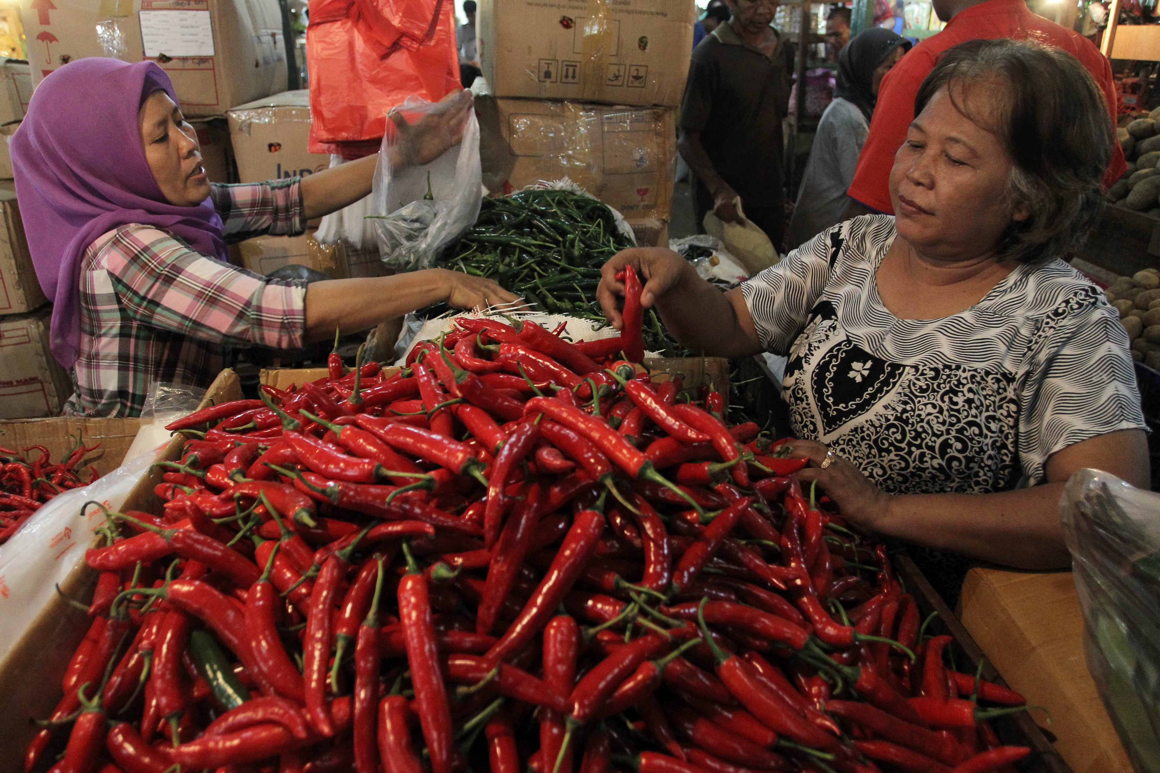 Pedagang cabai melayani pembeli.