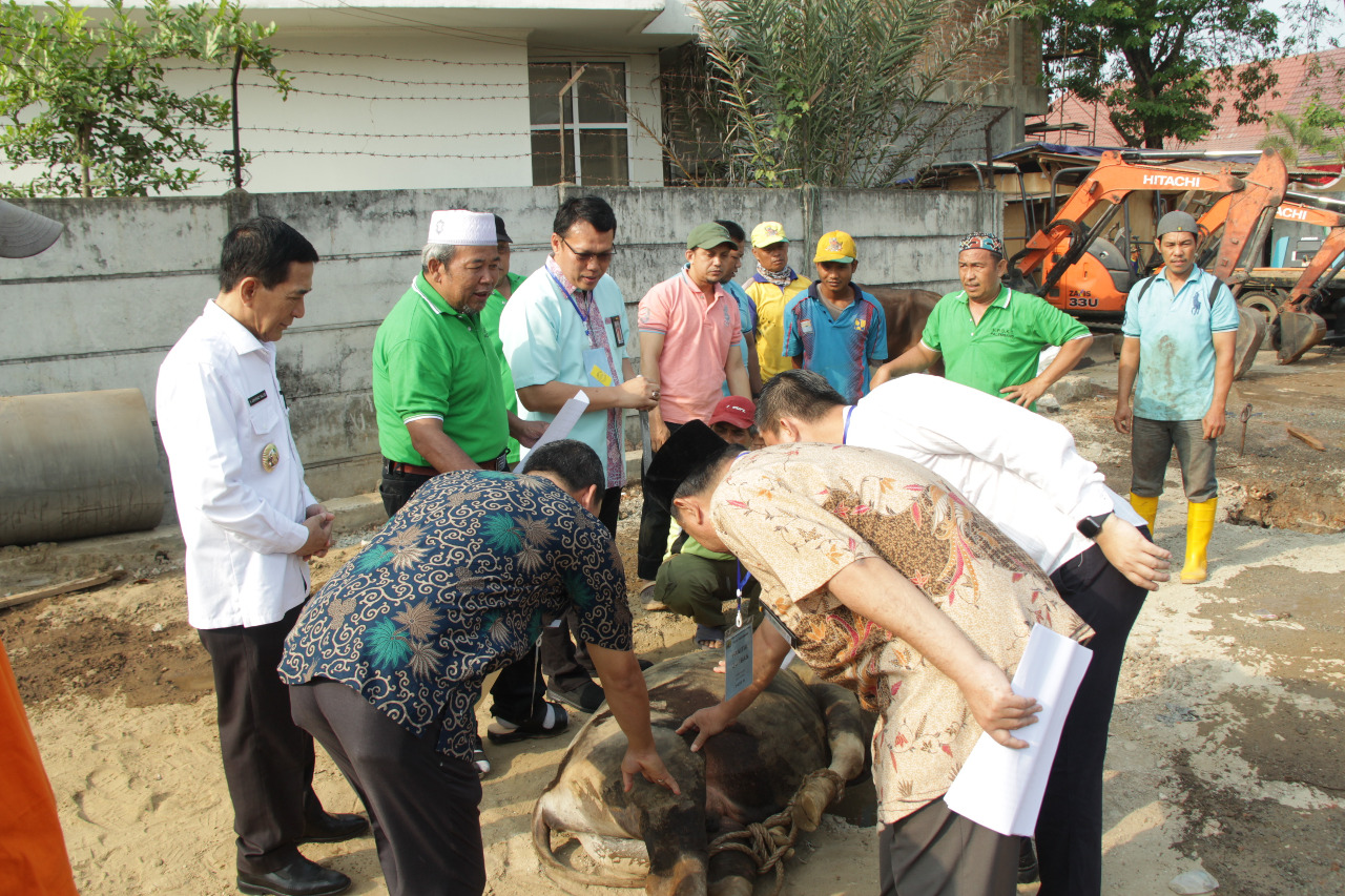Dinas PUPR Kota Palembang Bagikan 1.200 Daging Kurban.