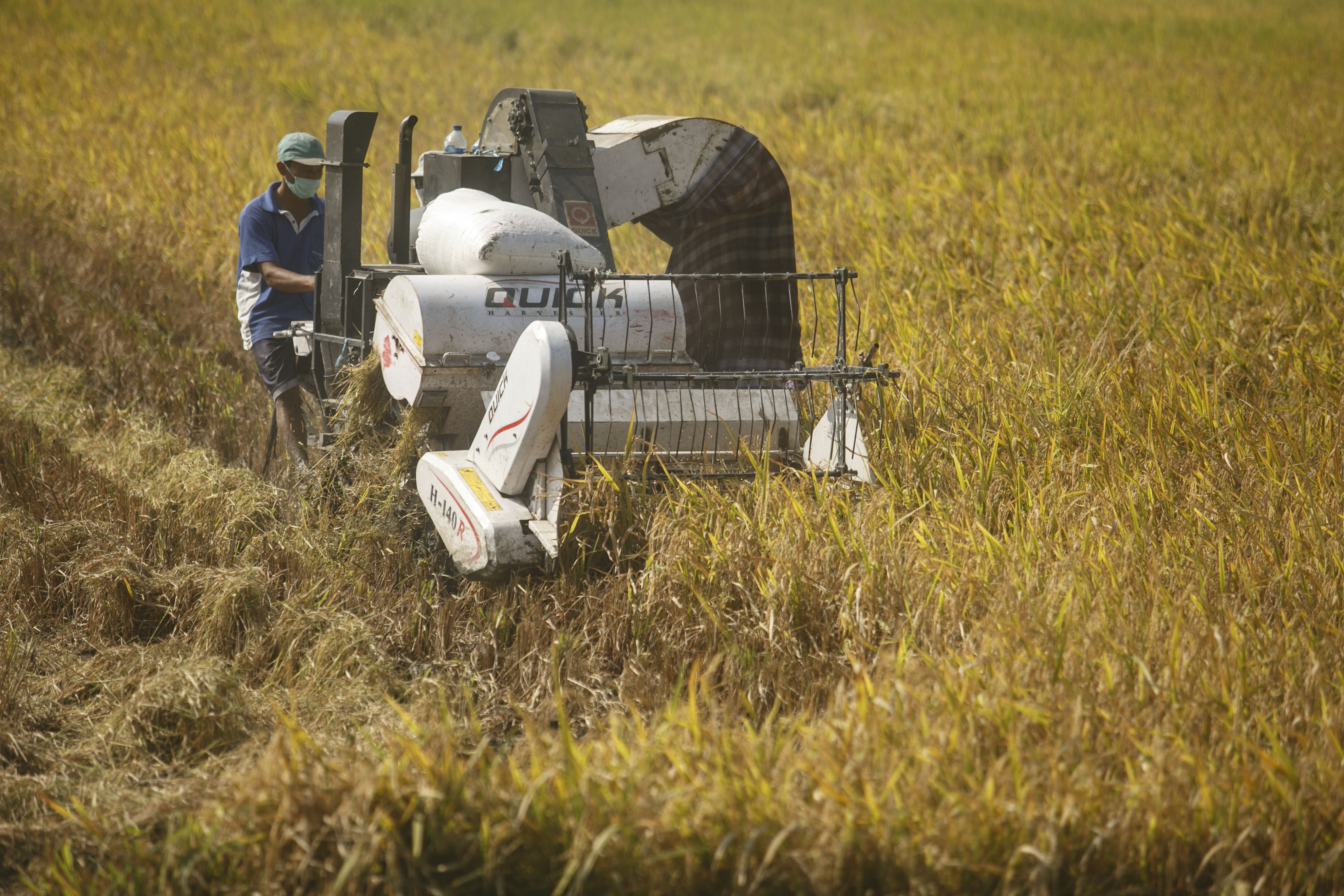 Petani memanen padi mengunakan mesin di area persawahan Bambanglipuro, Bantul, DI Yogyakarta.