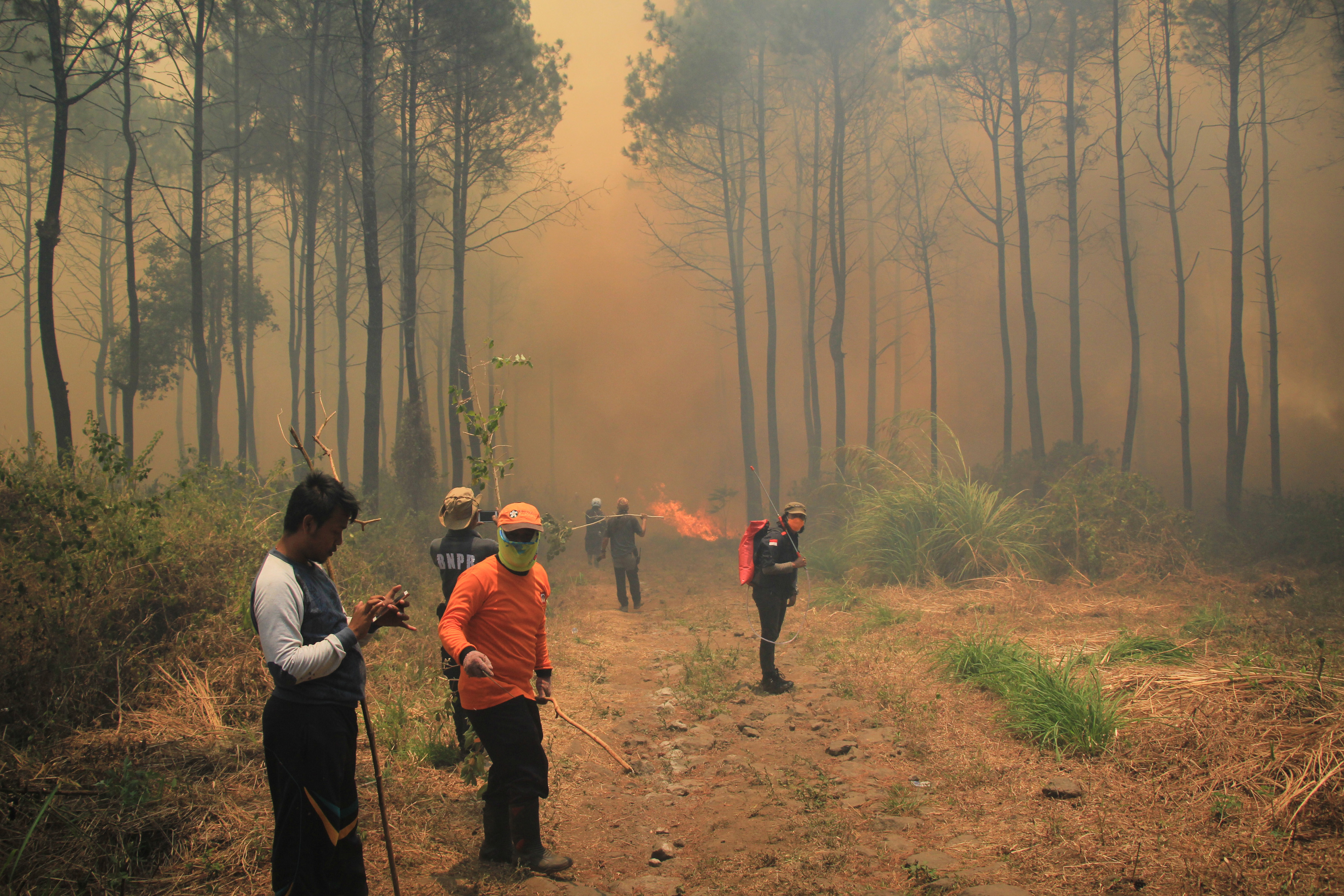 KEBAKARAN GUNUNG CIREMAI