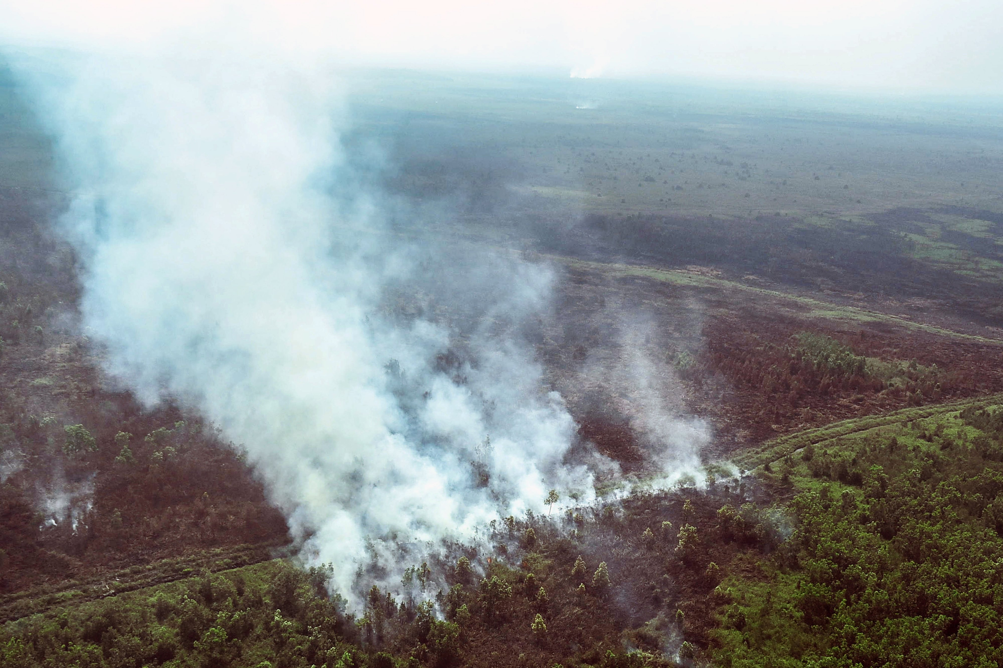 Kebakaran lahan gambut di Riau 