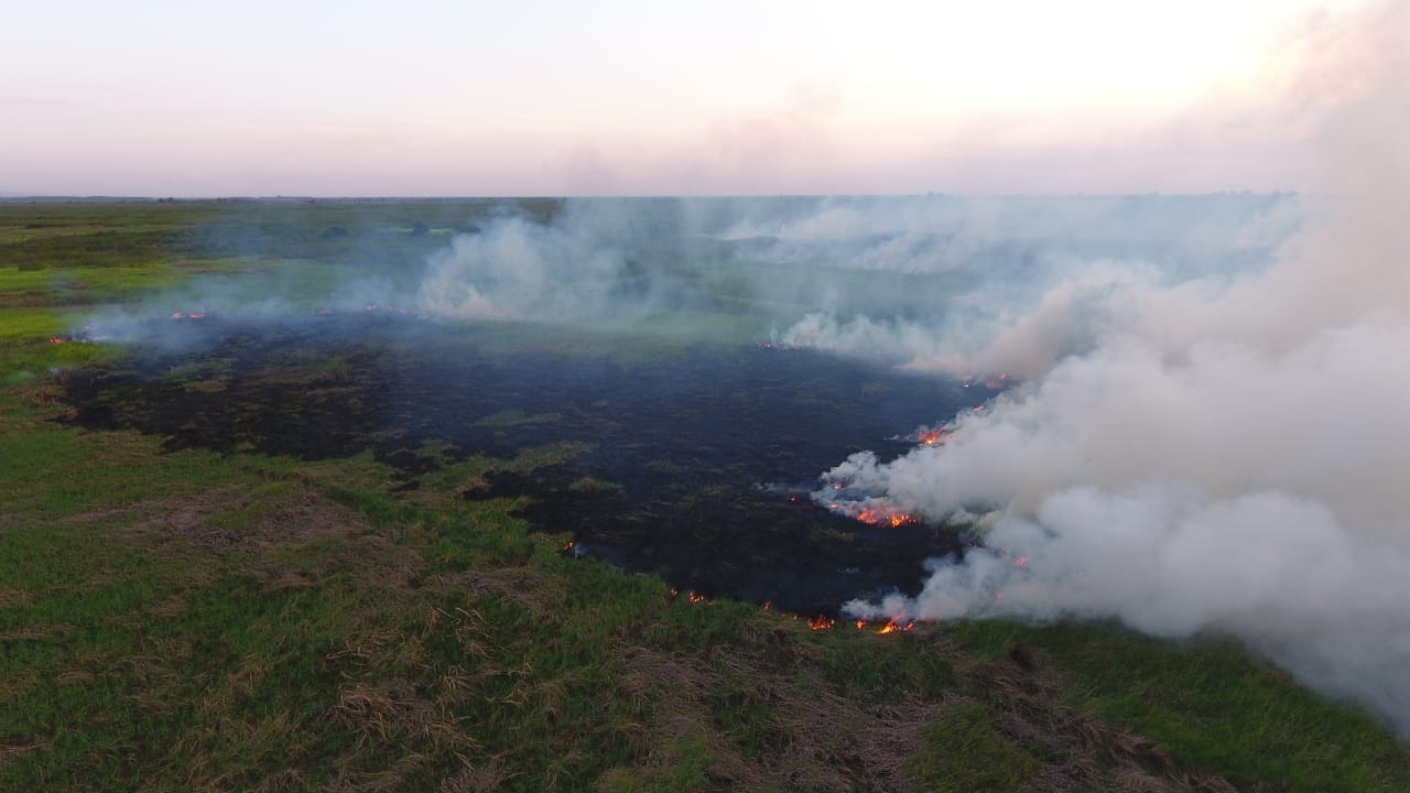 Kebakaran hutan dan lahan di wilayah Kalimantan Selatan kini mencapai 1.000 hektare. 