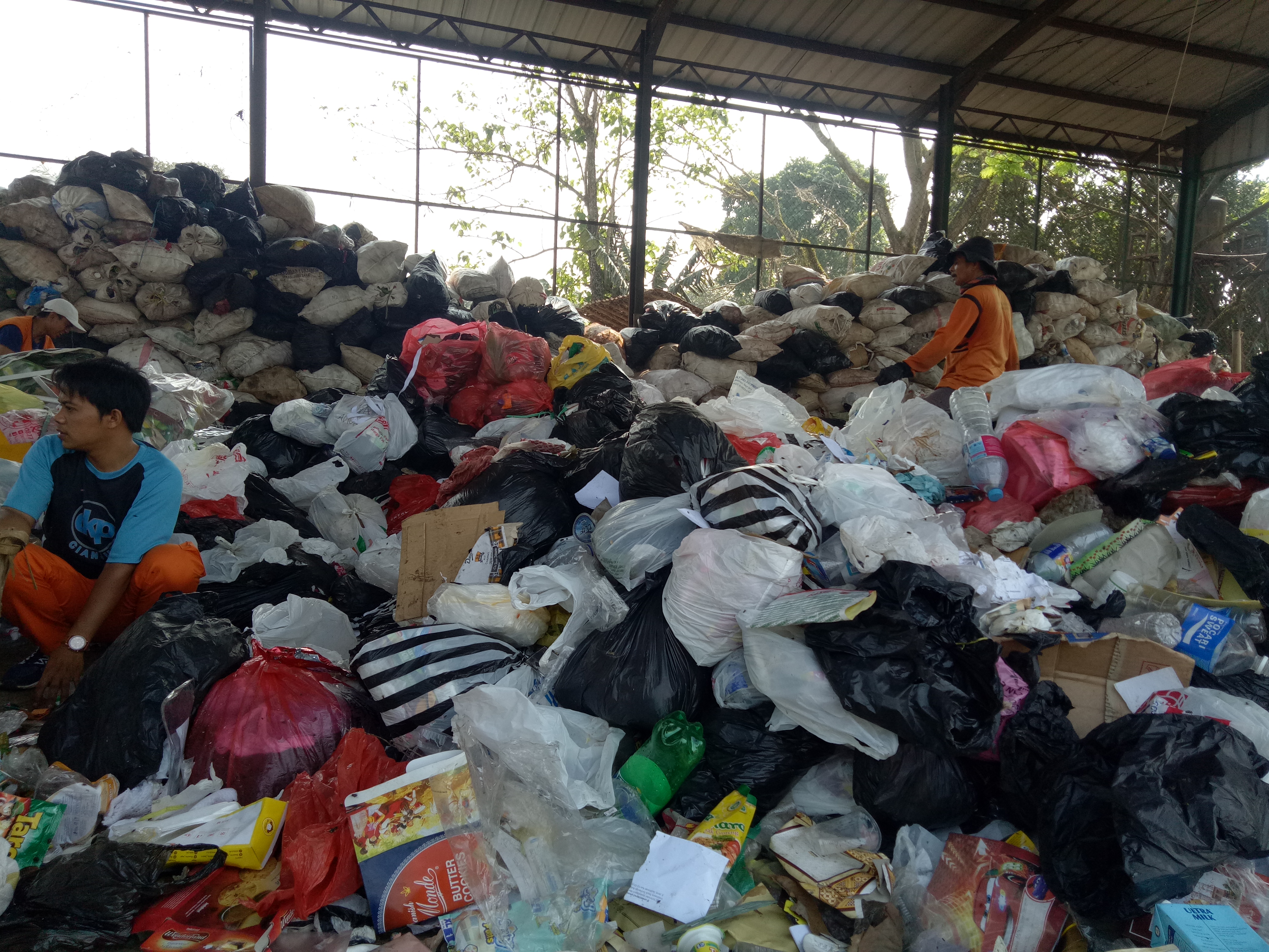 PETUGAS KEBERSIHAN CIANJUR MEMILAH SAMPAH