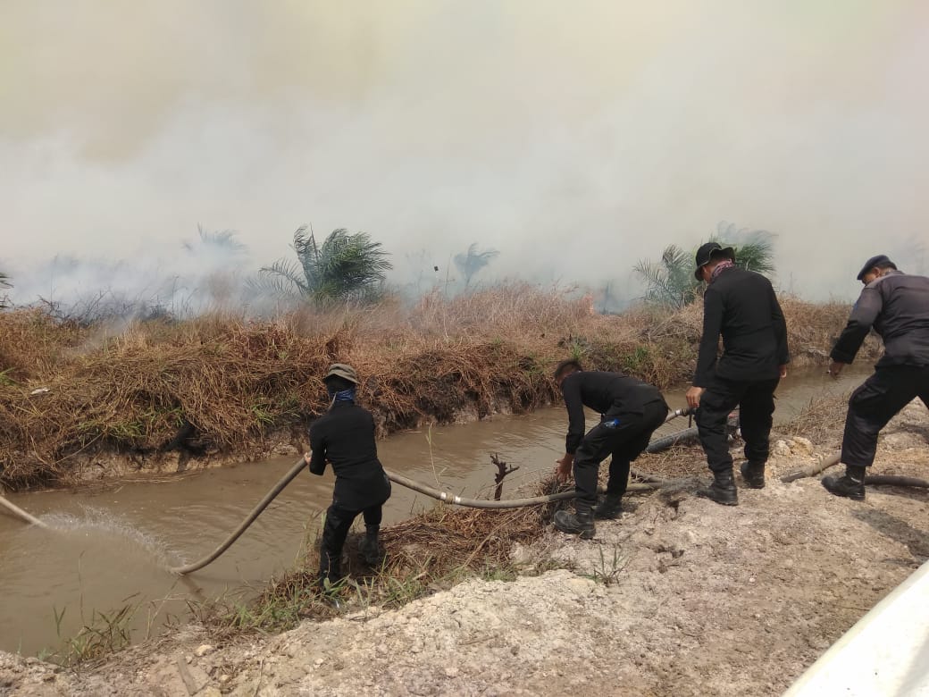 Petugas membasahi lahan gambut di Kabupaten Ogan Komering Ilir, Sumatra Selatan 