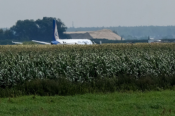 Menabrak Sekelompok Burung, Pesawat Airbus Rusia Mendarat Darurat