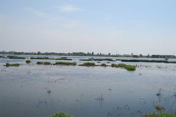 Ilustrasi -- Bencana banjir air laut pasang (Rob) yang melanda kawasan pantura Jawa Tengah 