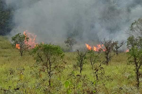 Karhutla Terpantau Meluas di Wilayah Tanjung Bunga