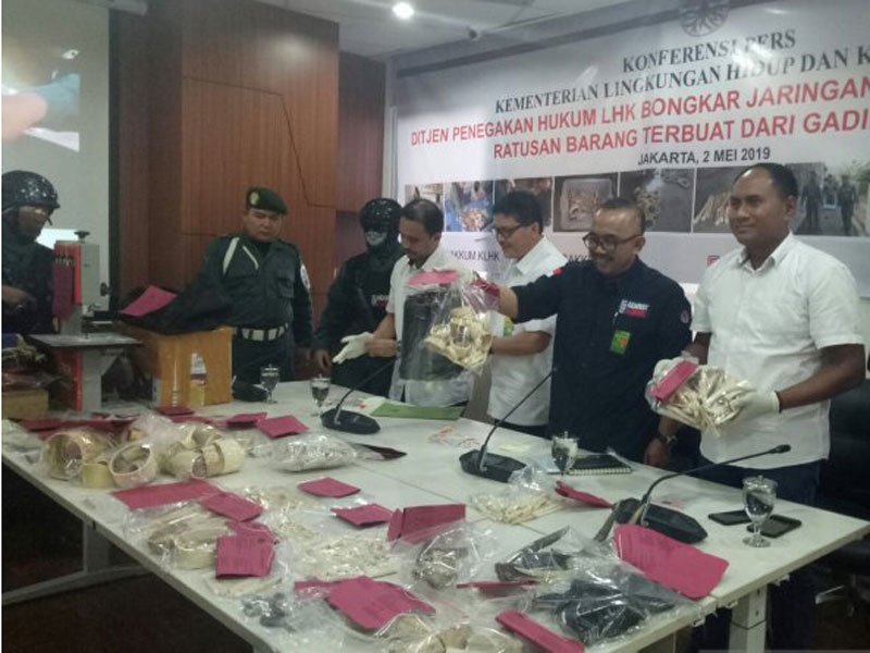 Direktur Penyidikan dan Pengamanan Hutan KLHK Sustyo Iriyono (tiga dari kanan) menunjukkan barang bukti gading gajah.