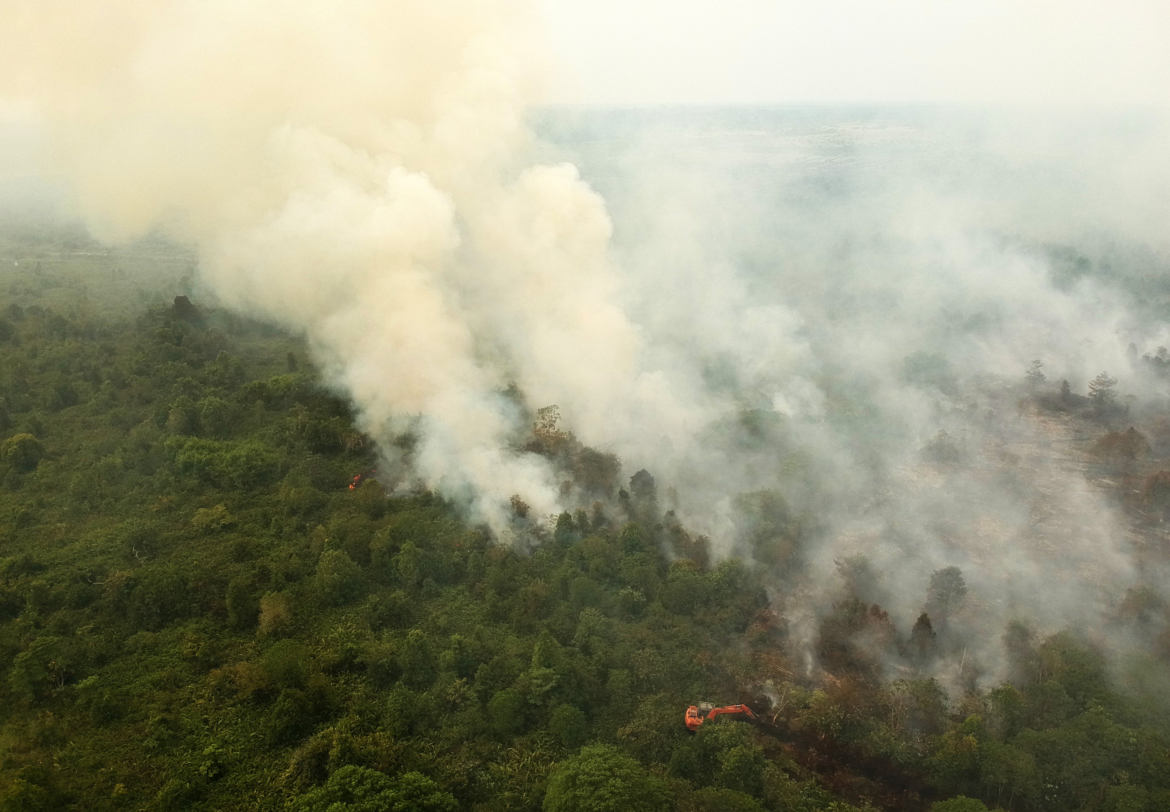 Lahan gambut yang terbakar.