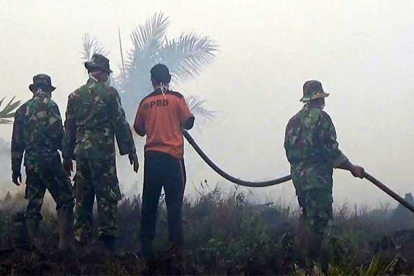 Anggota TNI dan anggota BPBD Jambi tengah sibuk melakukan pemadaman kebakaran lahan gambut di Jambi