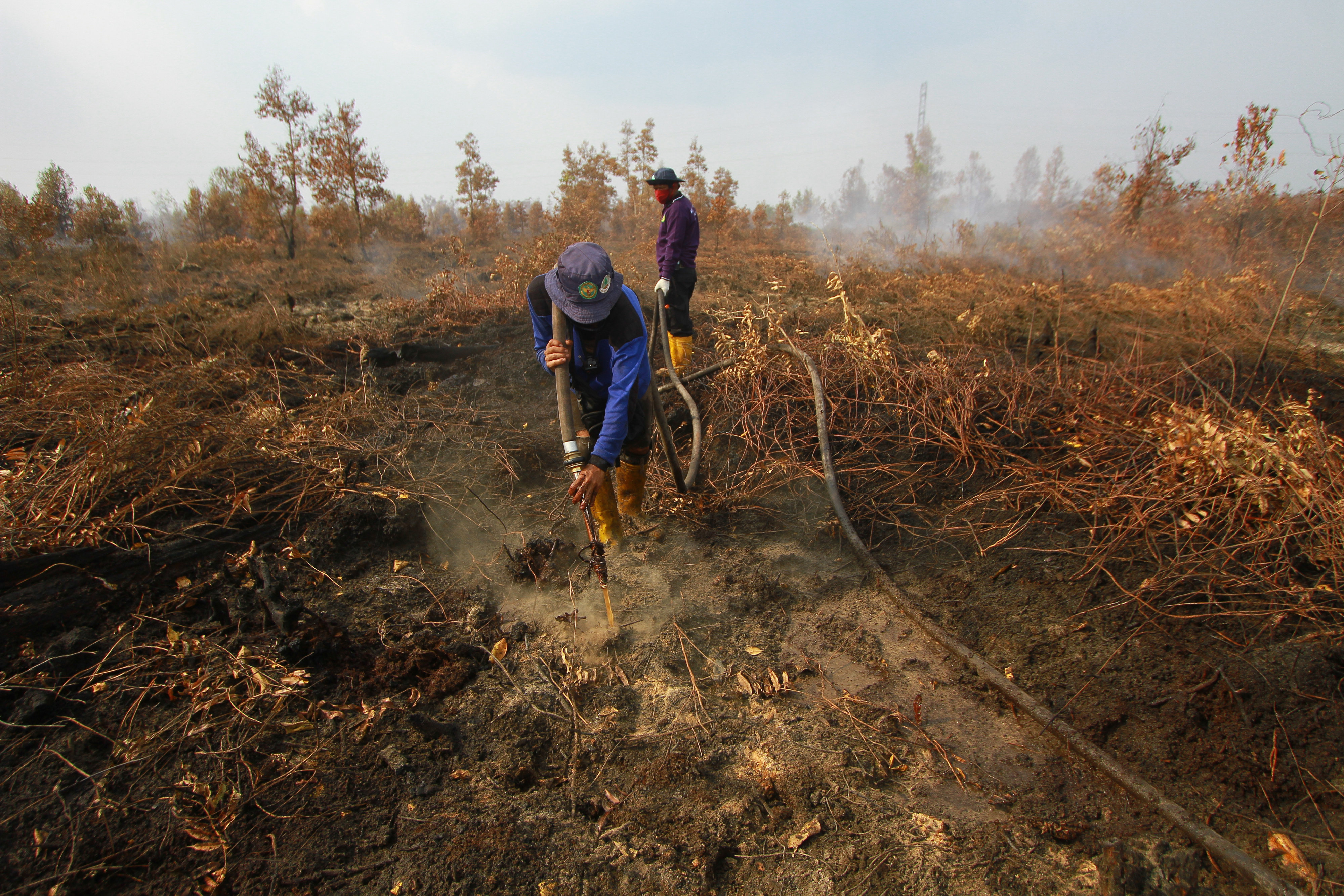 Pemadaman kebakaran hutan dan laghan di Kalimantan Tengah