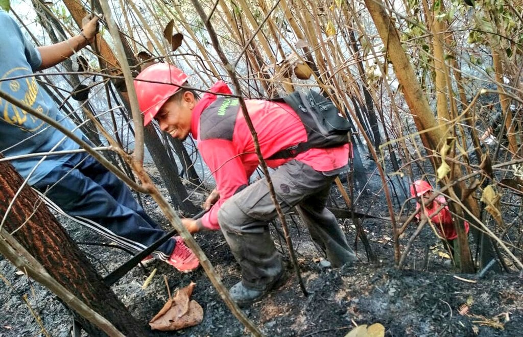 Personel Manggala Agni Gugur, Menteri LHK Sampaikan Duka Cita