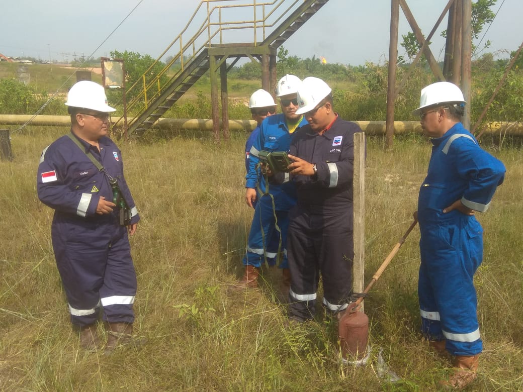 Harimau Sumatra yang Terjebak Diduga Sudah Menjauhi Ladang Minyak Chevron