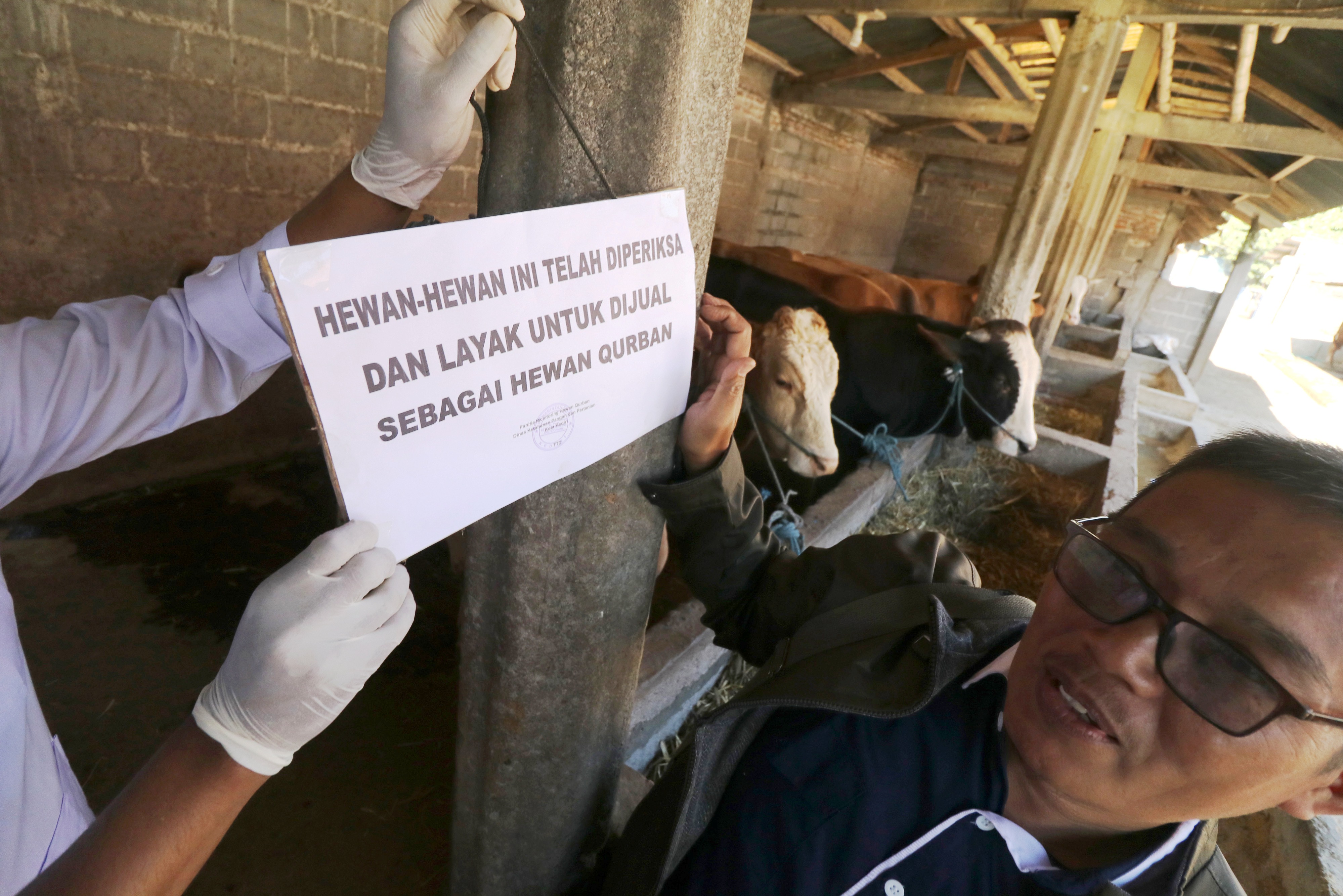 Warga dianjurkan membeli hewan kurban yang telah dibubuhi stiker.