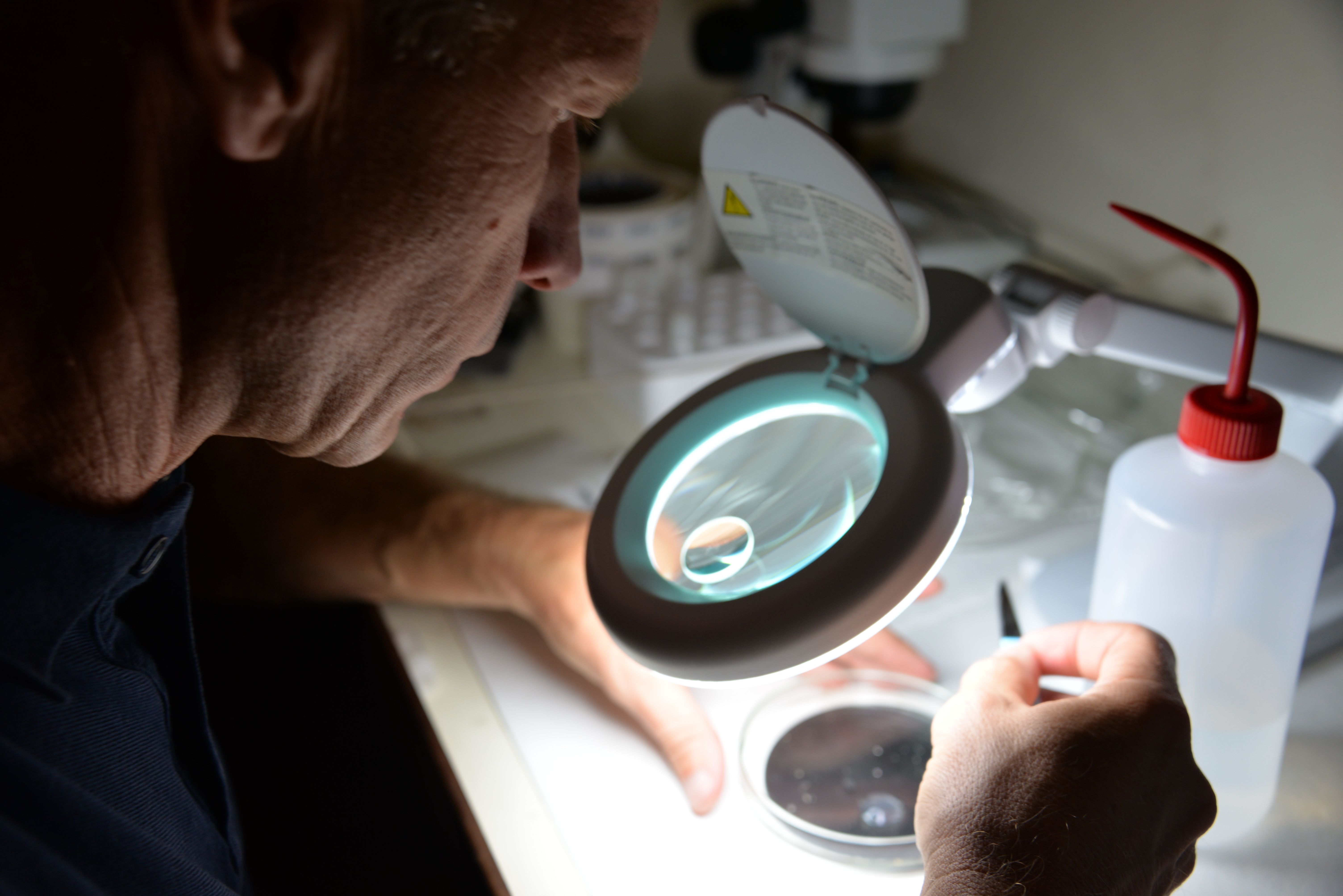 Peneliti menyelidiki kandungan mikroplastik di 10 sungai besar di Eropa.