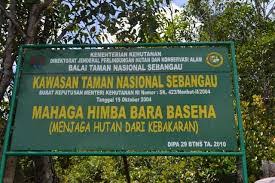 Kawasan Taman Nasonal Sebangau di Kalimantan Tengah. 