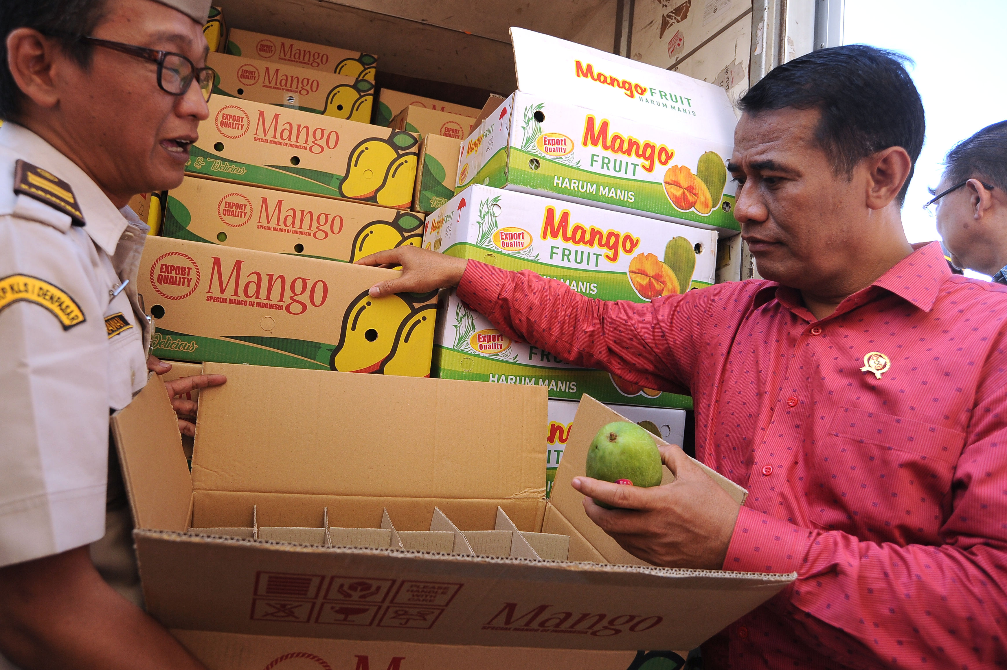 Menteri Pertanian Andi Amran Sulaiman (kanan) mengamati buah Mangga siap diekspor. 