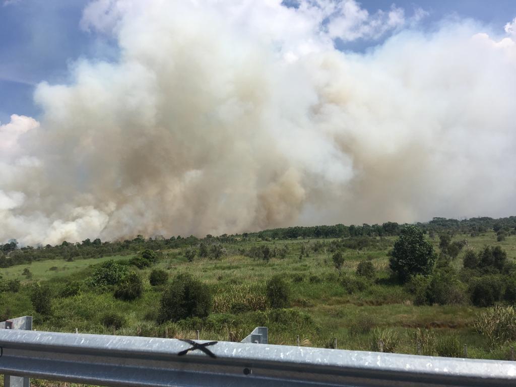 Kabut asap karhutla tidak jauh dari Tol Trans Sumatera ruas Palembang-Indralaya (Palindra).