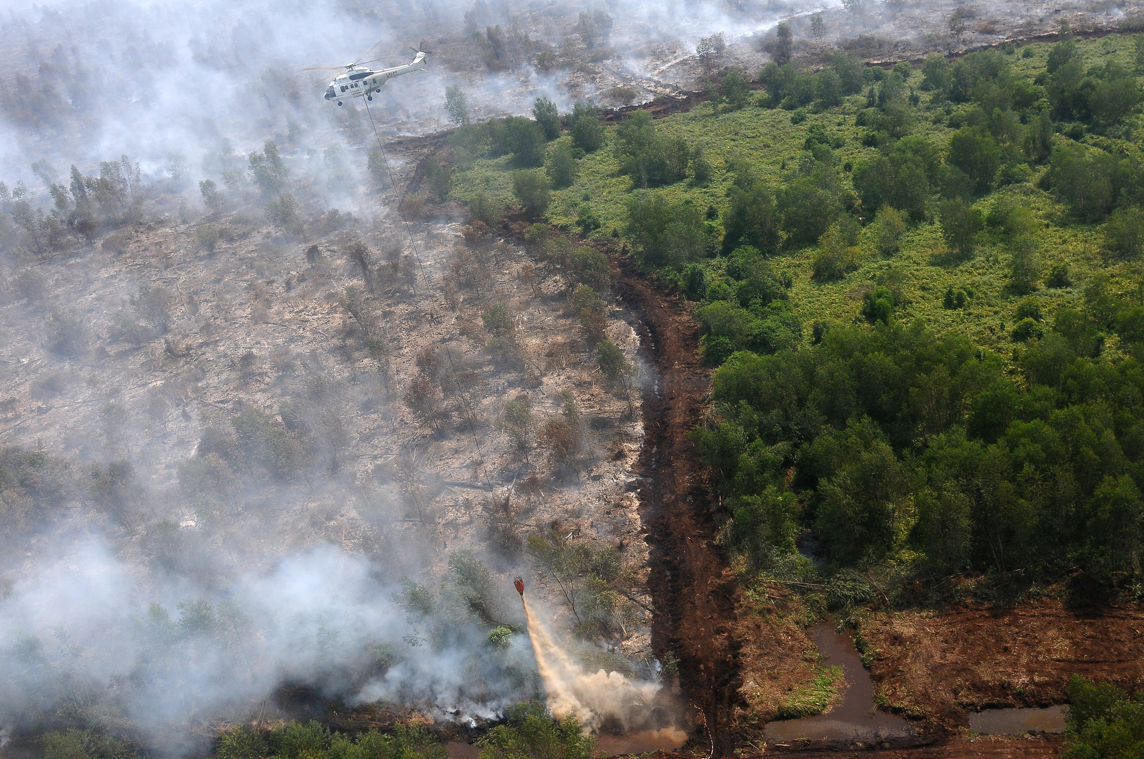 Merangin Masih Siaga Darurat Karhutla