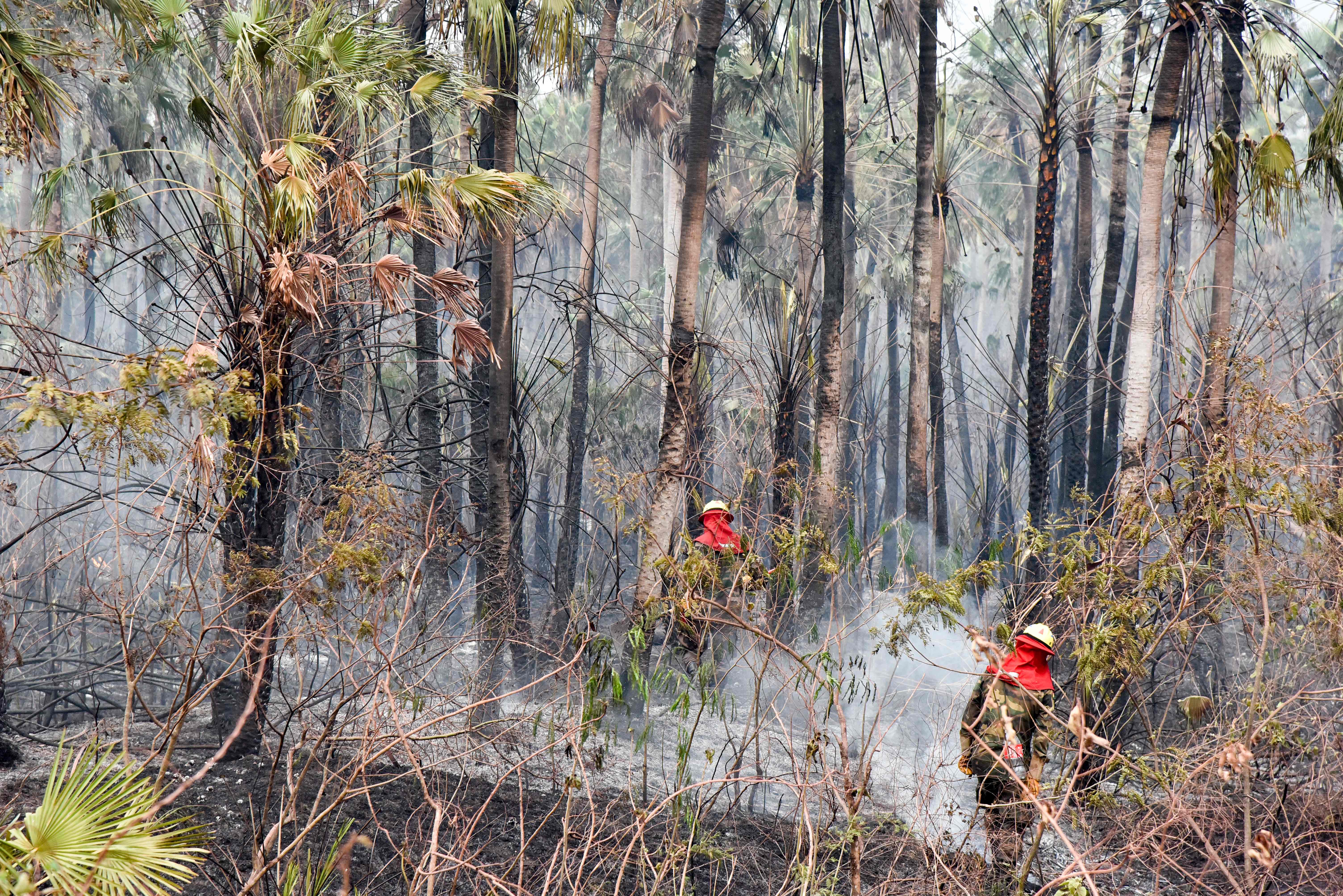 Prajurit Bolivia berjalan di antara sisa-sisa kebakaran hutan di Taman Nasional Otuquis.