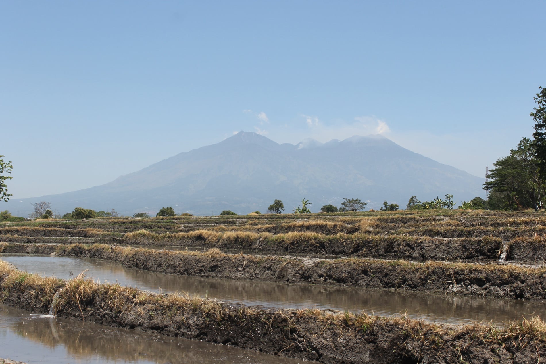 Gunung Arjuno-Welirang di Jawa Timur