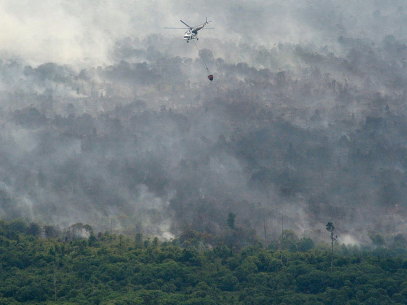 Helikopter Super Puma milik Asia Pulp & Paper (APP) Sinar Mas melakukan water bombing di Muara Medak, Bayung Lencir, Musi Banyuasin, Sumsel.