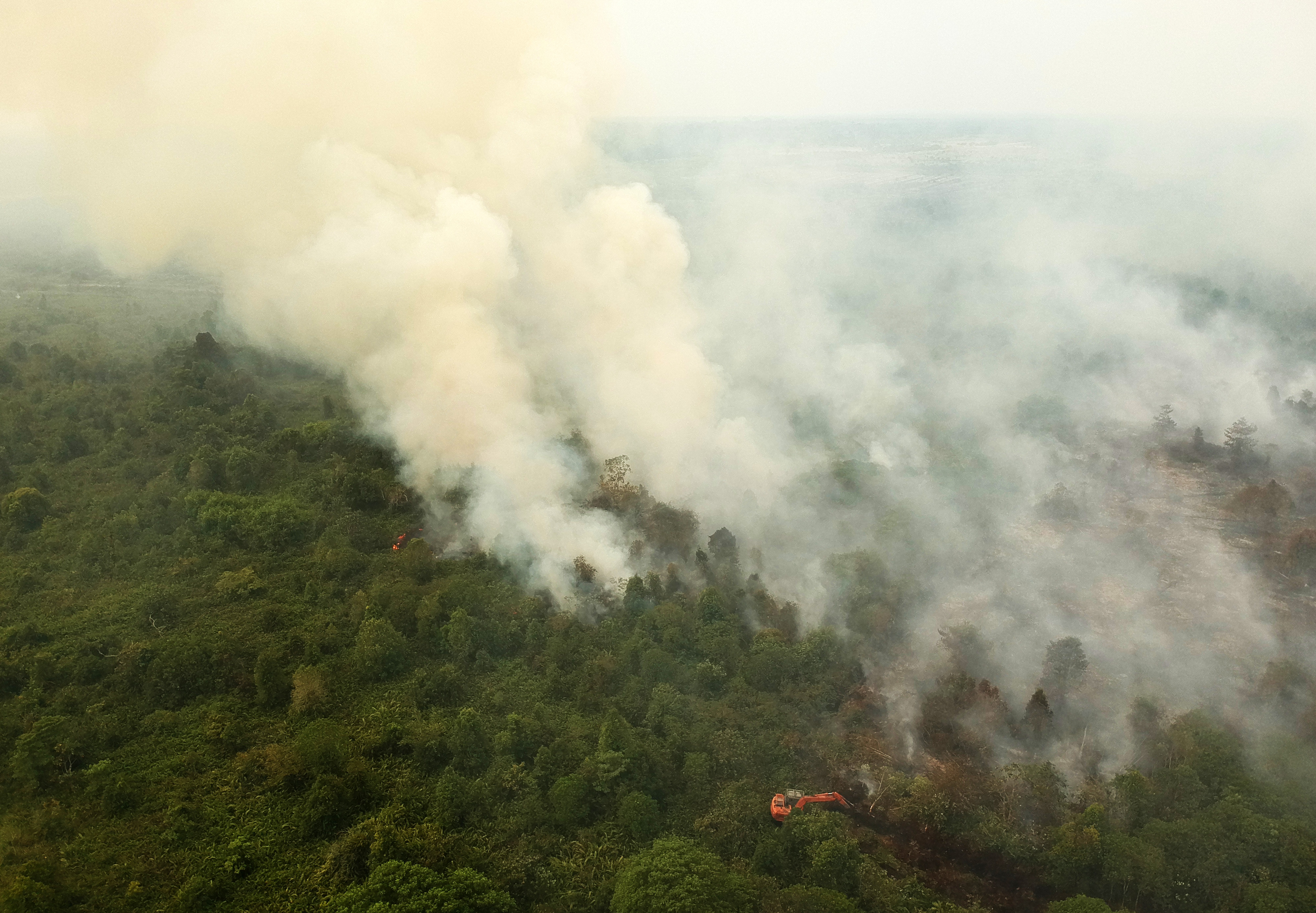 Kebakaran lahan gambut Muarojambi.