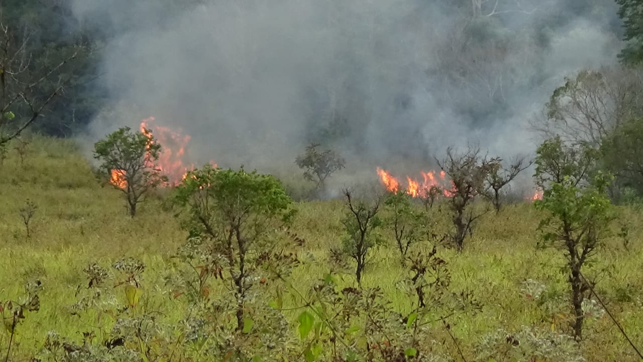 Atasi maraknya karhutla, Pemkab Flotim siapkan dua langkah strategis.  