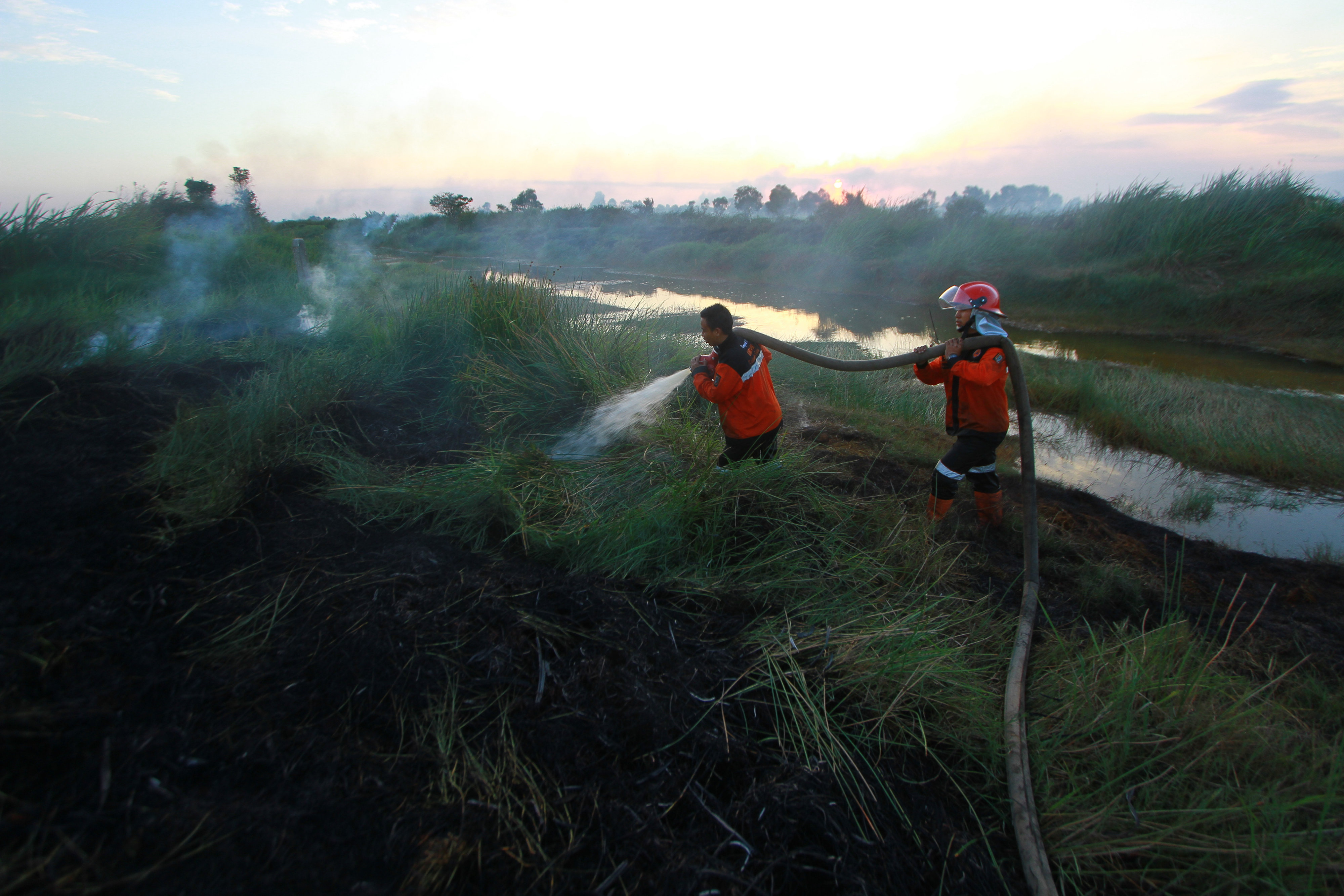 etugas Badan Penanggulangan Bencana Daerah (BPBD) Kalsel berusaha memadamkan semak belukar yang terbakar 