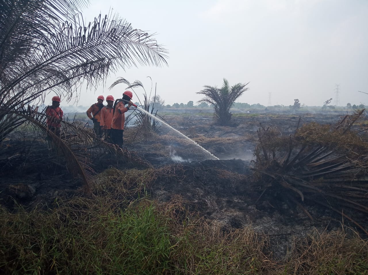 Petugas memadamkan api dari kebakaran hutan dan lahan (Karhutla) di Riau