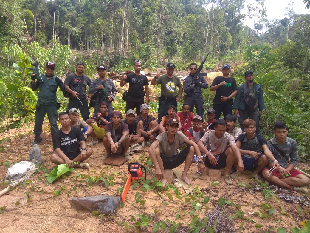 Penangkapan 17 pembalak liar di Kawasan Hutan Lindung Gunung Bentarang, Desa Sungai Bening, Sajingan Besar, Sambas, Kalbar.