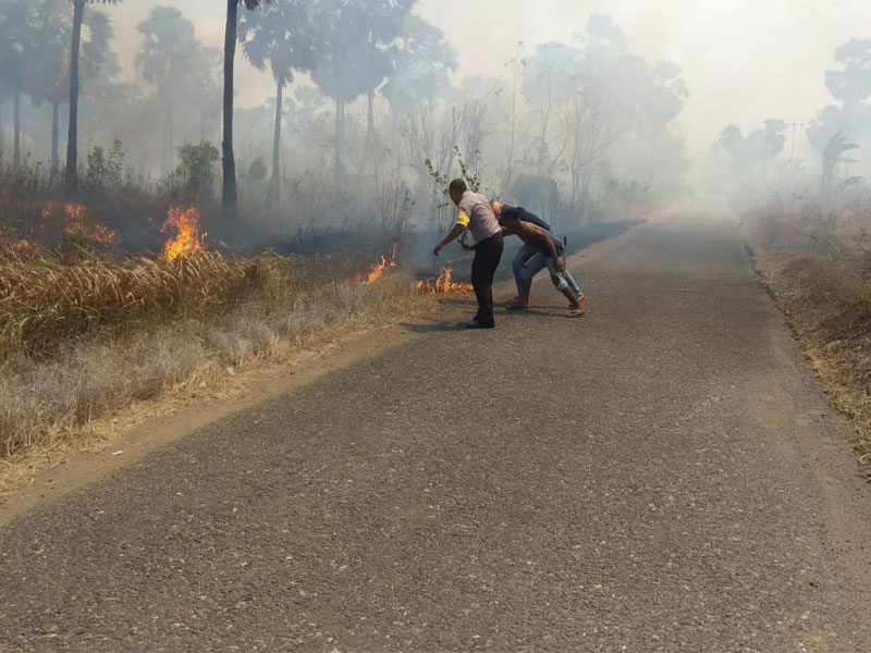 Karhutla Di Lembata Terjadi Lagi, Polisi Dibantu Warga Padamkan Api Dengan Peralatan Seadanya.
