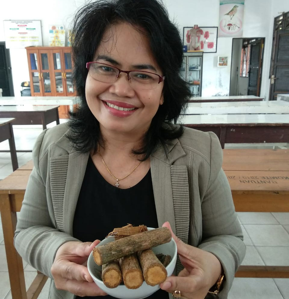 Obat Penyembuh Kanker Kayu Bajakah Segera Dipatenkan