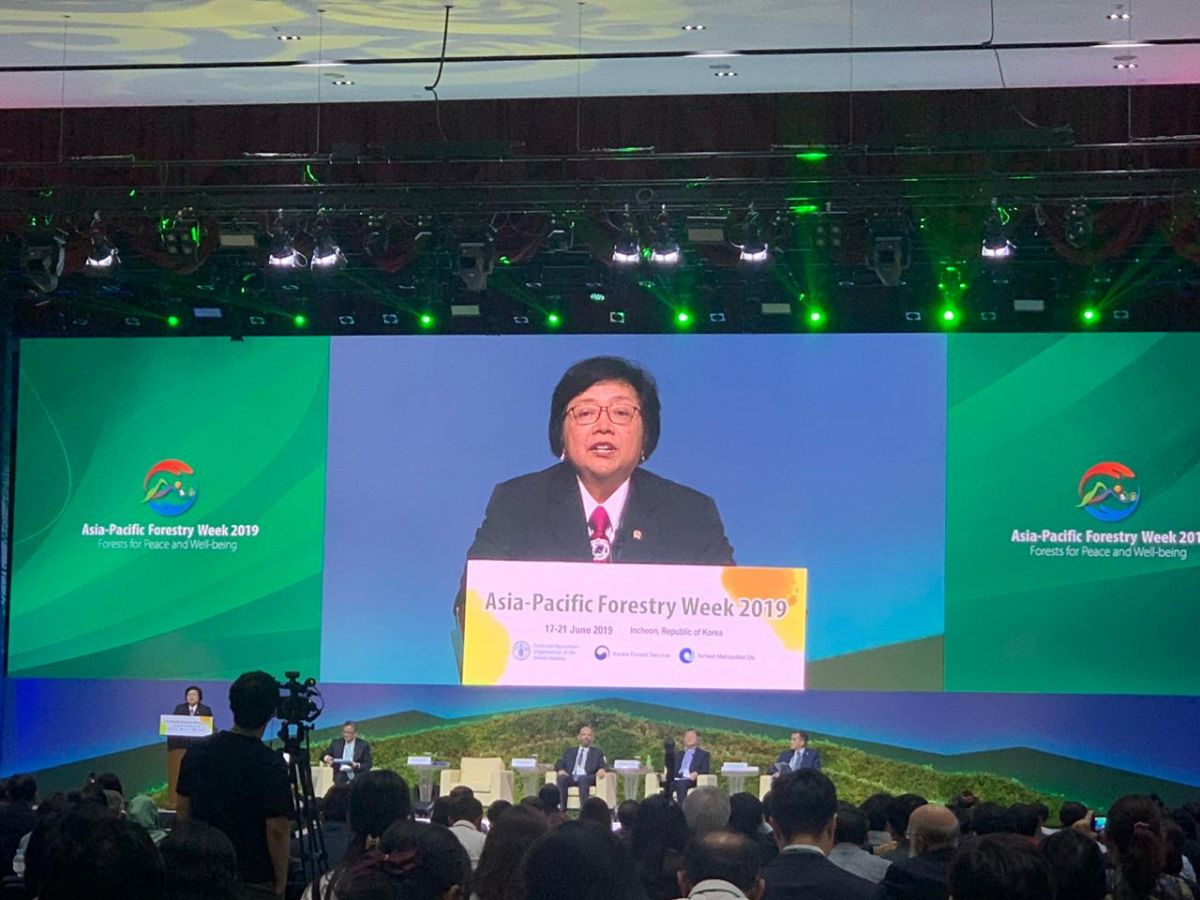 Pada Asia-Pacific Forestry Week 2019, Menteri LHK Siti Nurbaya berkomitmen lanjutkan moratorium hutan.