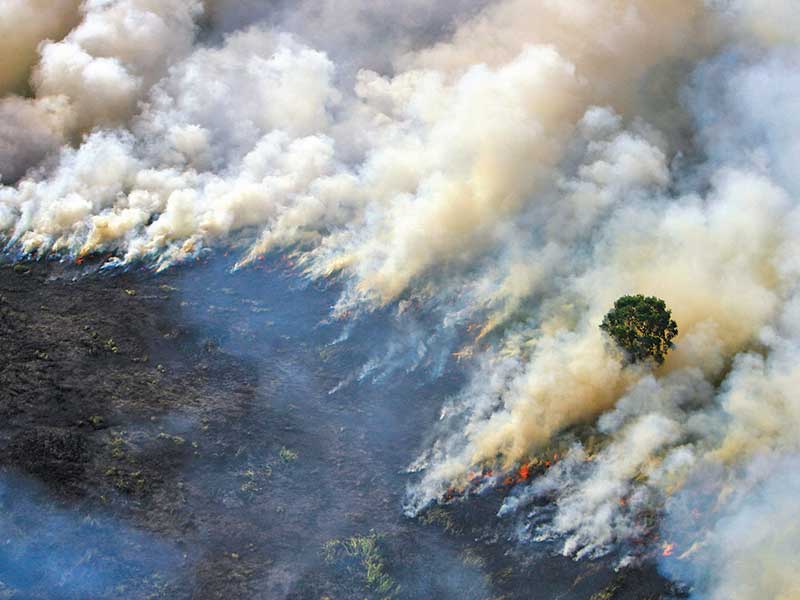 Foto udara kebakaran hutan dan lahan di Kabupaten Tapin, Kalimantan Selatan, Kamis (29/8/2019)