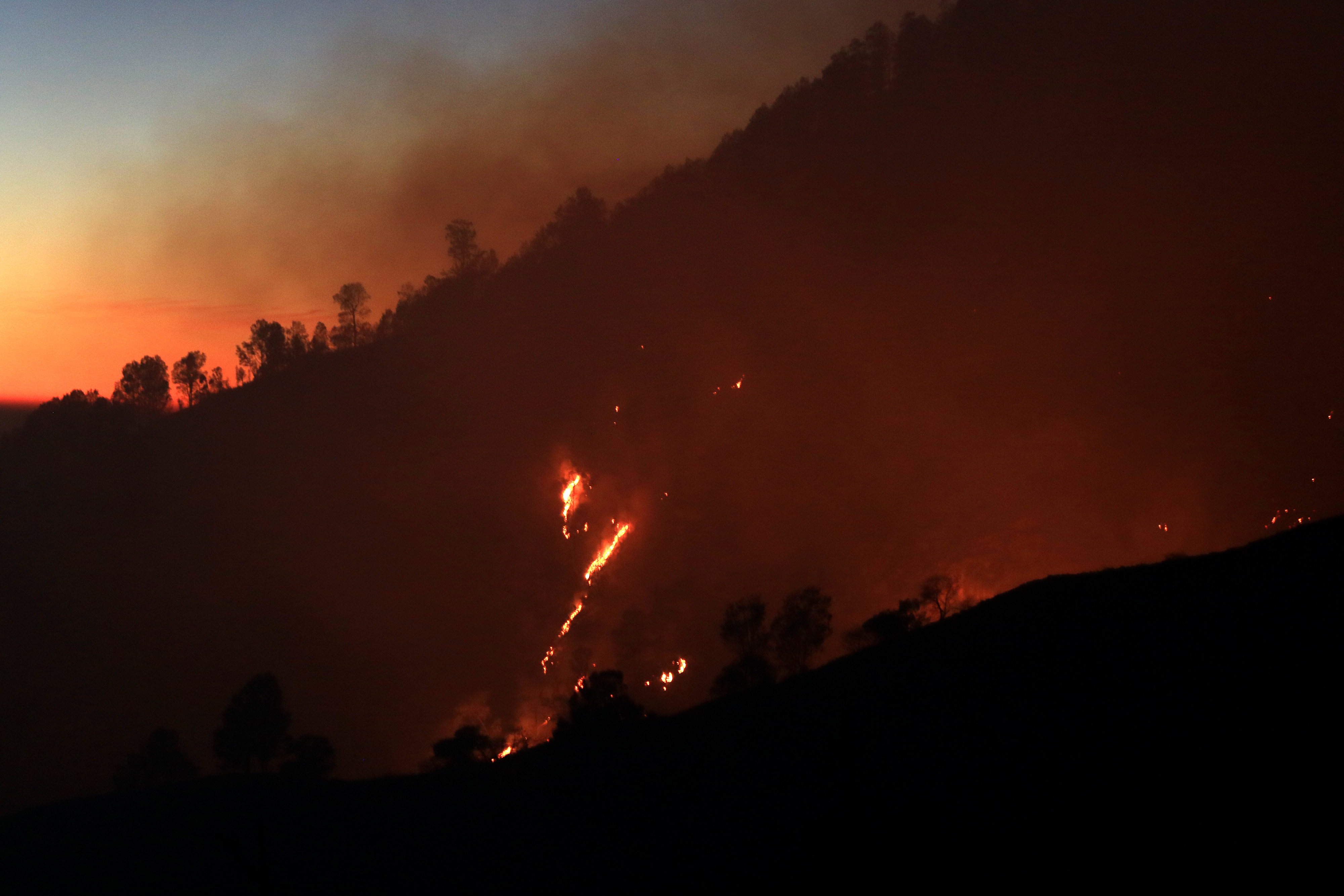 GUNUNG MERAPI BANYUWANGI TERBAKAR: Api berkobar di kawasan Gunung Merapi terlihat dari Gunung Ijen di Banyuwangi, Jawa Timur, Kamis (1/8/201