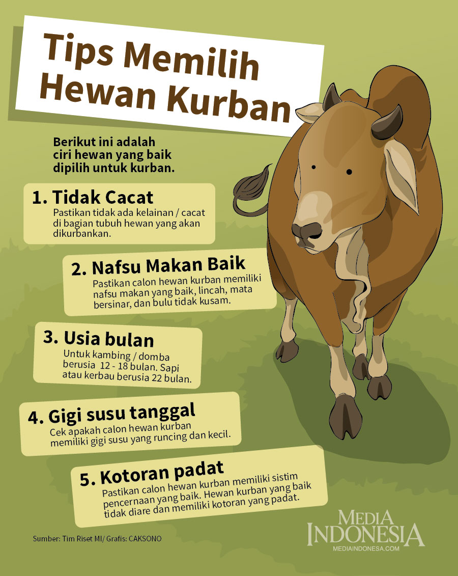Tips Memilih Hewan Kurban