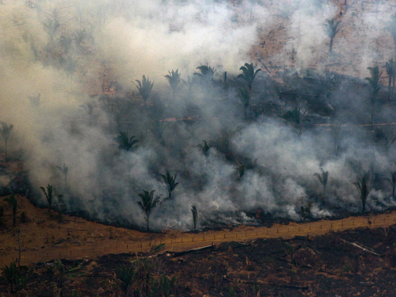 Asap mengepul sepanjang dua kilometer dari hutan hujan Amazon yang terbakar di Porto Velho, Rondonia, Brasil, Jumat (23/8). 