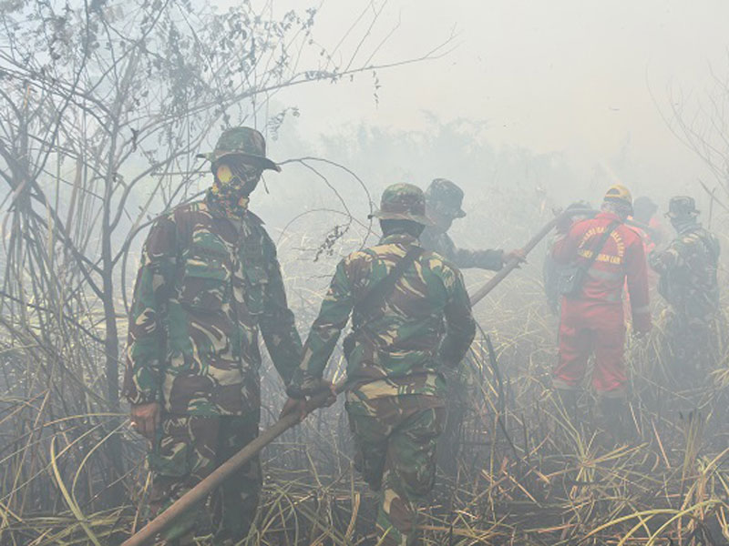 Upaya pemadaman kebakaran lahan di Ogan Iliir baik oleh tim satgas darat maupun satgas udara.