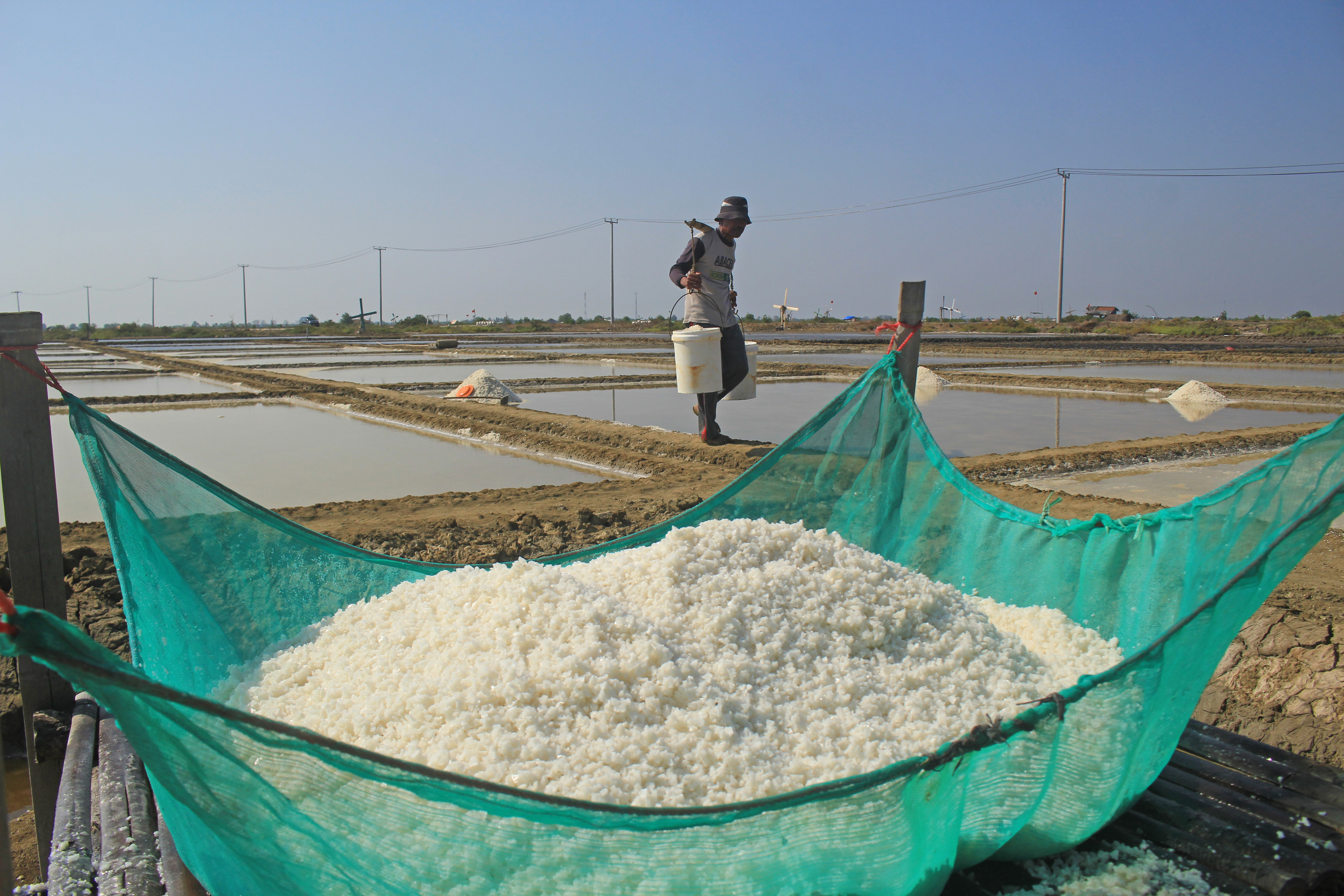 Petani memanen garam di Losarang Indramayu, Jawa Barat