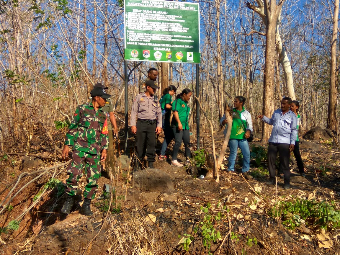 Patroli kolaboratif cegah meluasnya Karhutla di Lembata