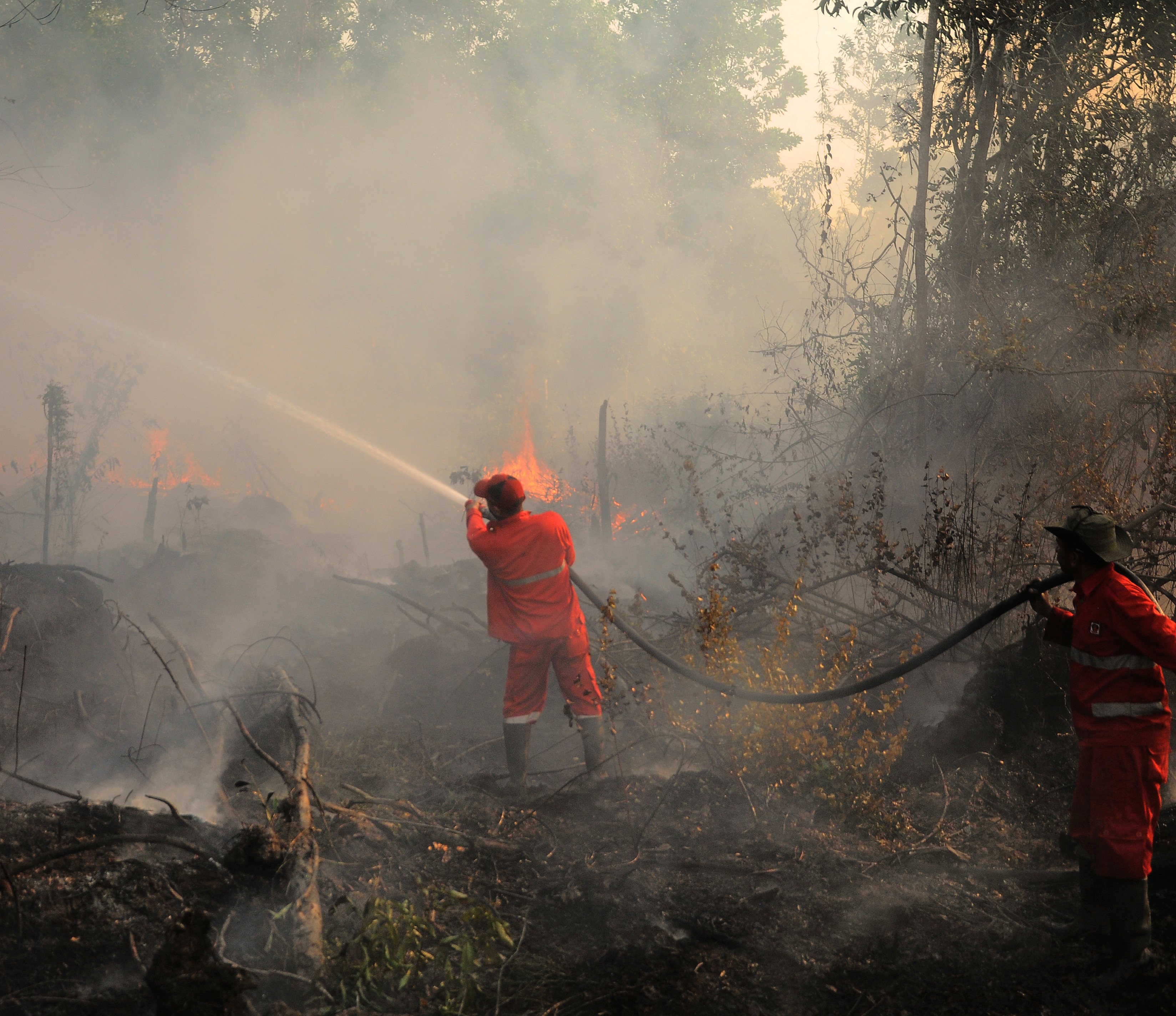  Petugas Manggala Agni Daops Banyuasin berusaha memadamkan kebakaran lahan yang terjadi di Desa Kayu Arehh, 