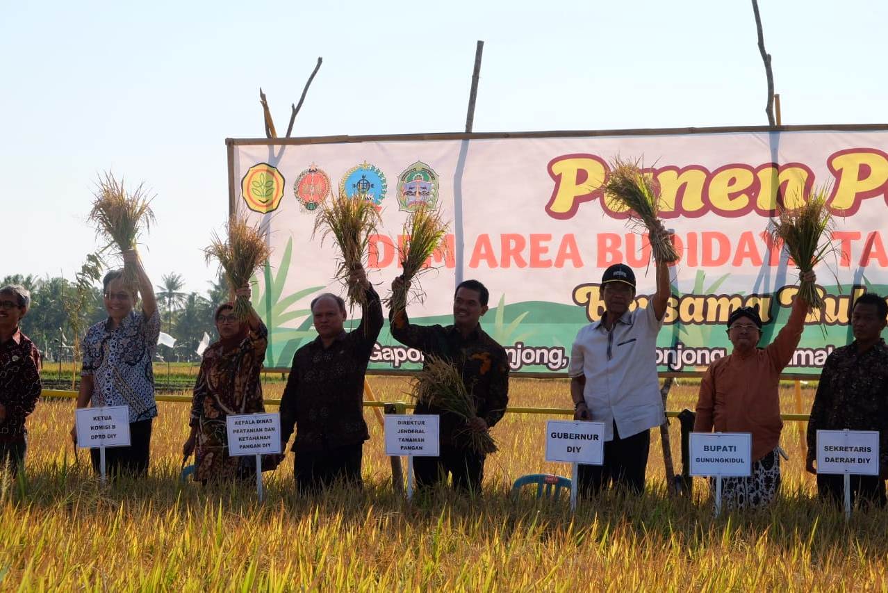 Gubernur DI Yogyakarta Sultan HB X dan Dirjen Direktur Jenderal Tanaman Pangan Kementan, Suwandi, memanen padi di Gunung Kidul. 