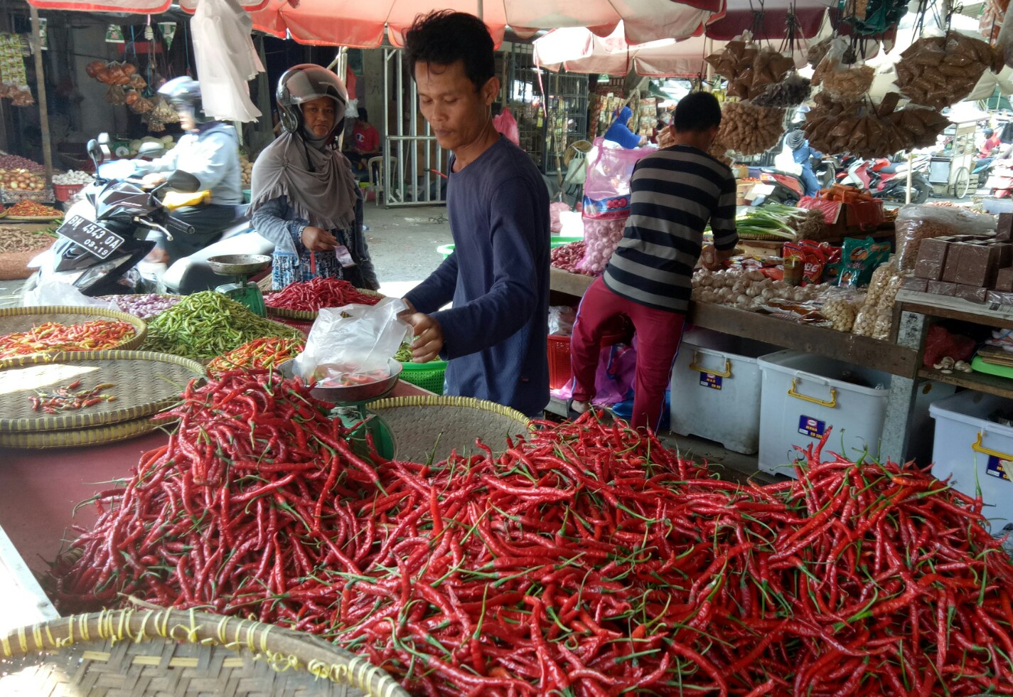 Harga cabai di Flores Timur naik drastis selama dua pekan terakhir akibat gagal panen. 