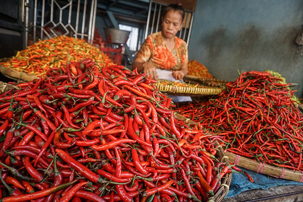Pedagang memilah cabai daganganya di Pasar 