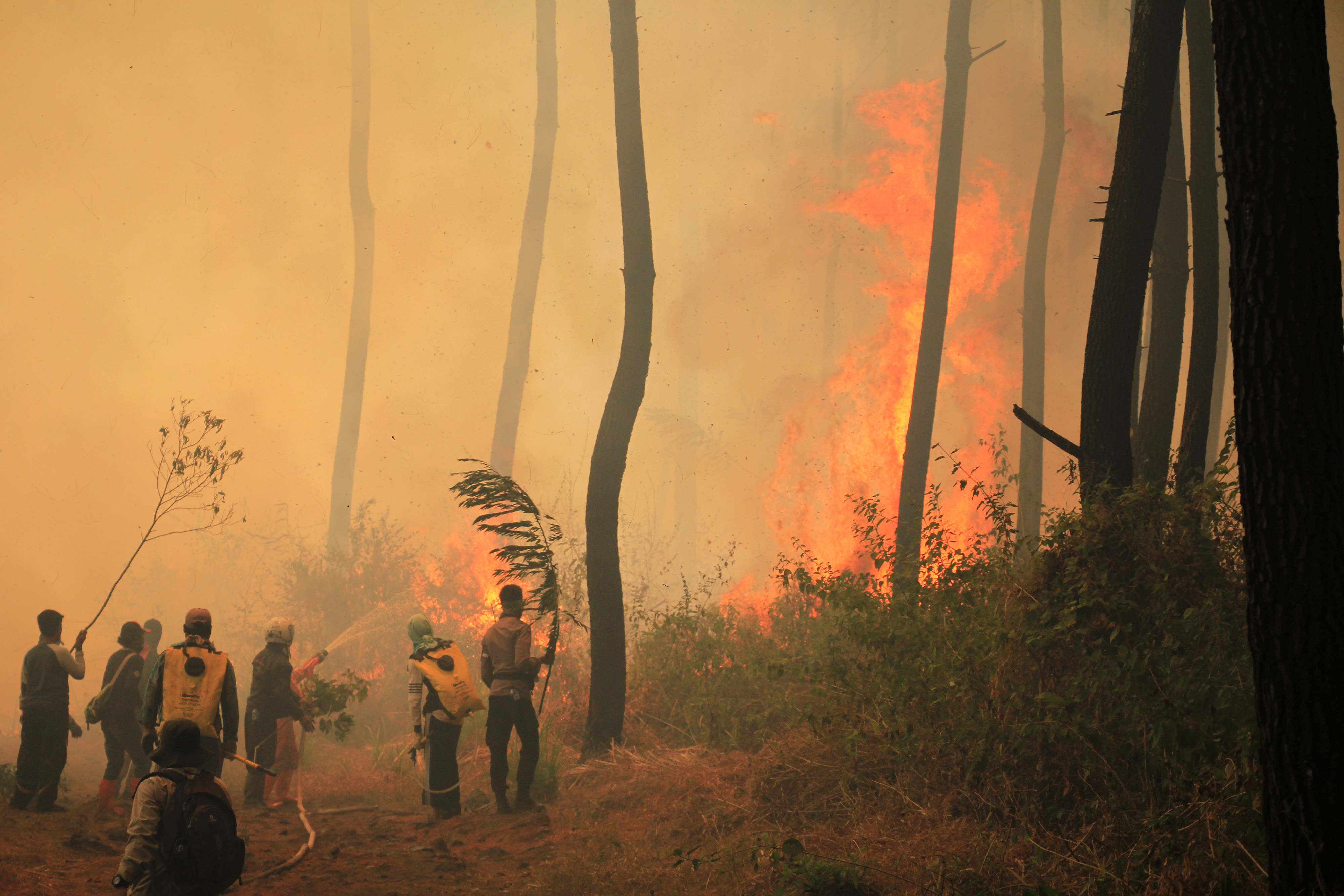  Sejumlah petugas gabungan berusaha memadamkan api yang membakar kawasan hutan di lereng Gunung Ciremai