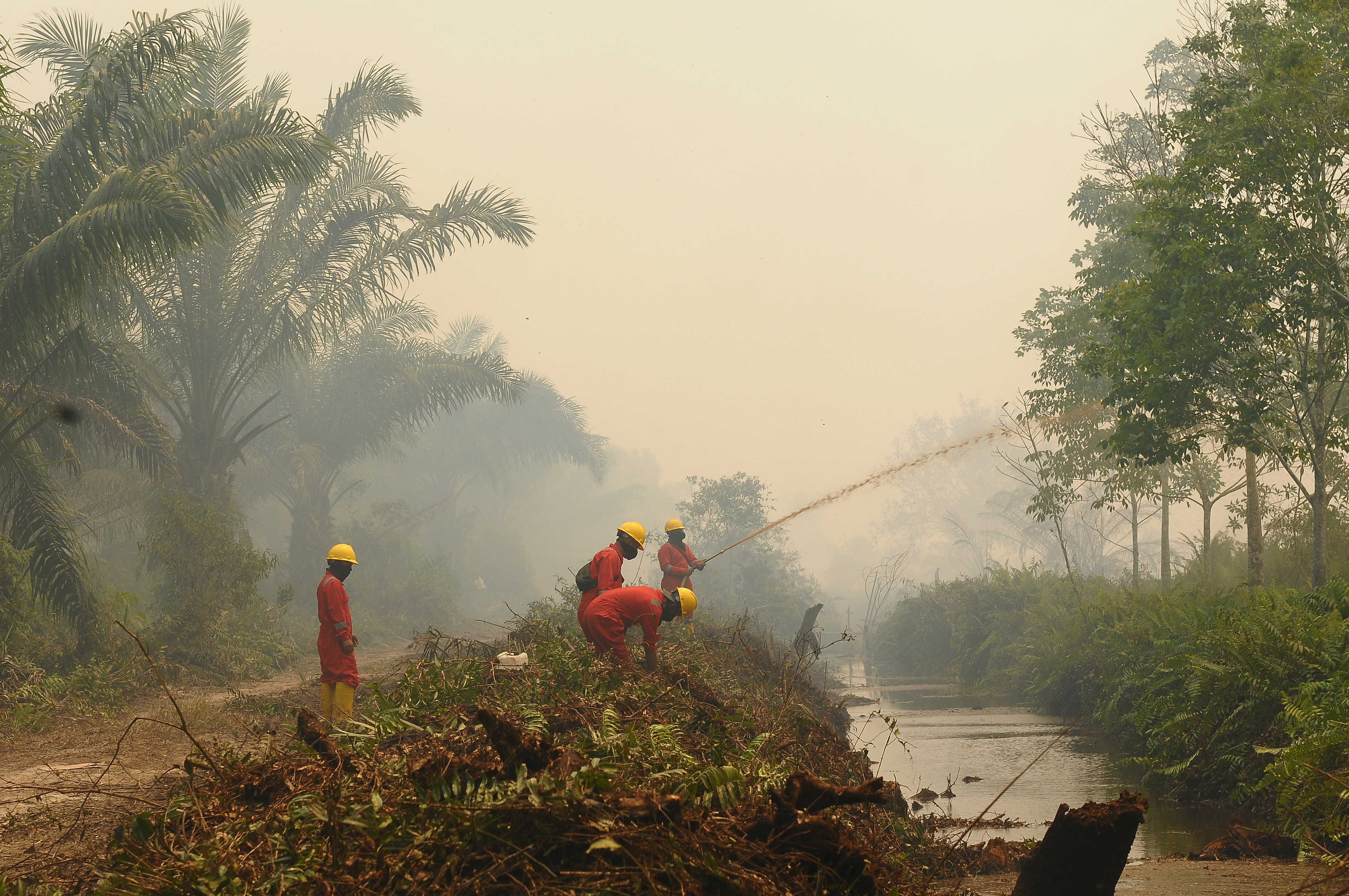 Petugas pemadam melakukan pemadaman di lahan gambut yg terbakar